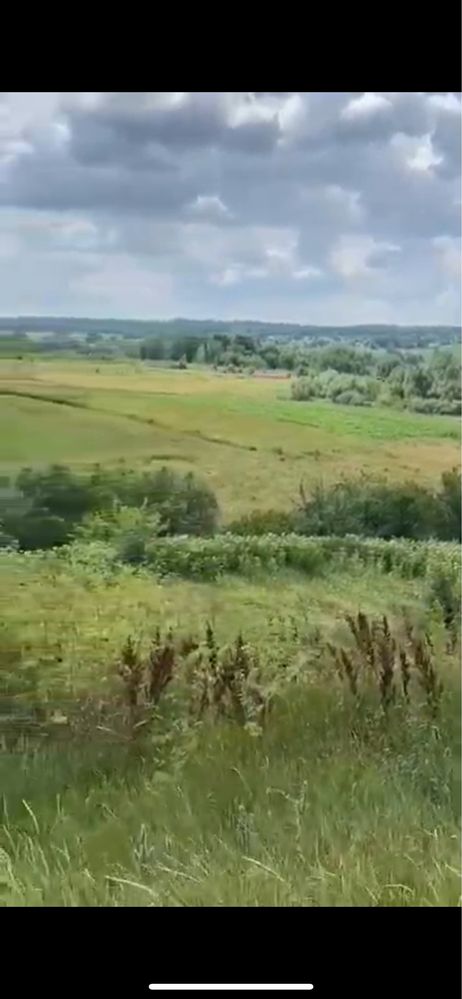 Здам в оренду 2 га Вороновиця або продаж