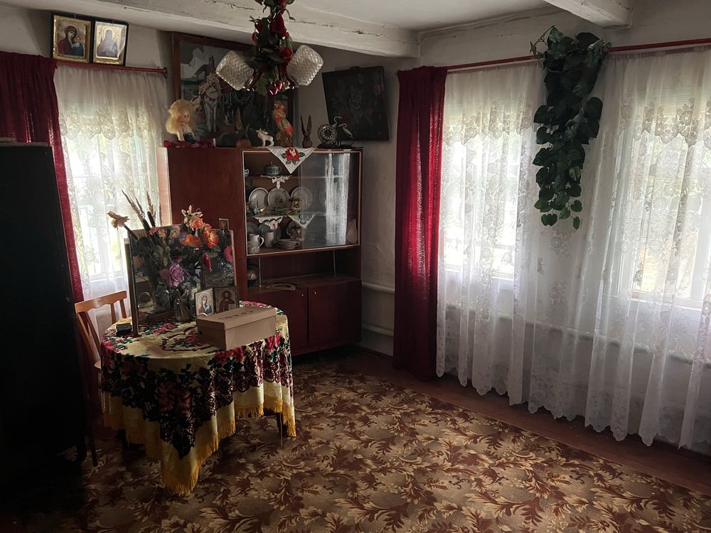 Будинок,дача,приватна садиба,с.Степанівка,Ємільчине.