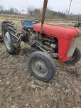Massey ferguson 35 benzyna