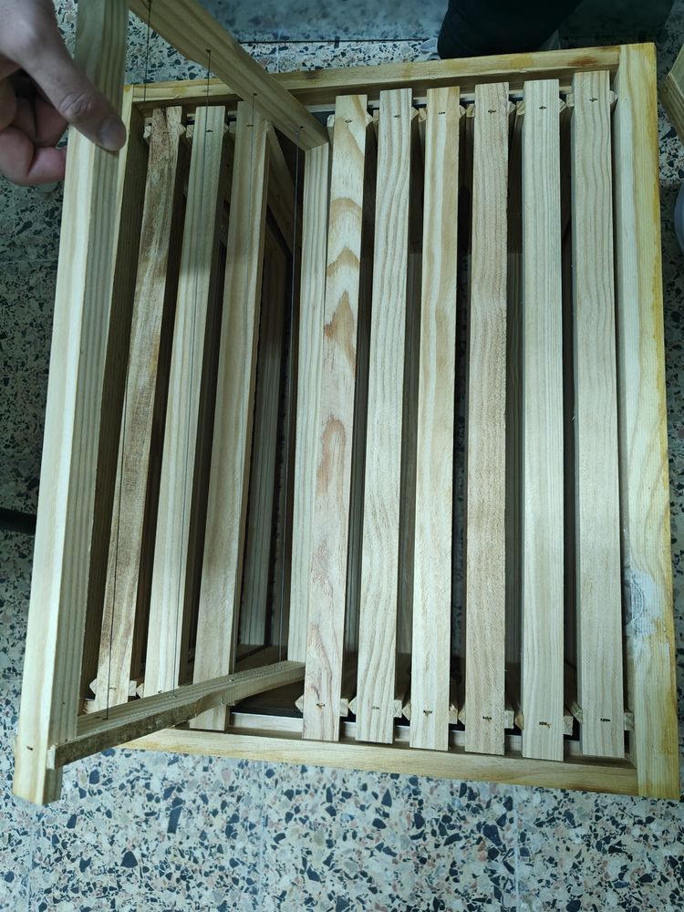 Colmeia abelhas - Langstroth hive
