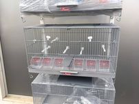 NOVA - Bateria Viveiros Pedros 60cm, criação pássaros PEDRÓS