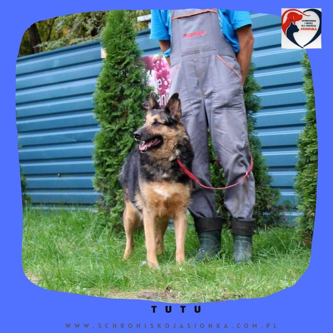 TUTU-do adopcji schronisko Jasionka