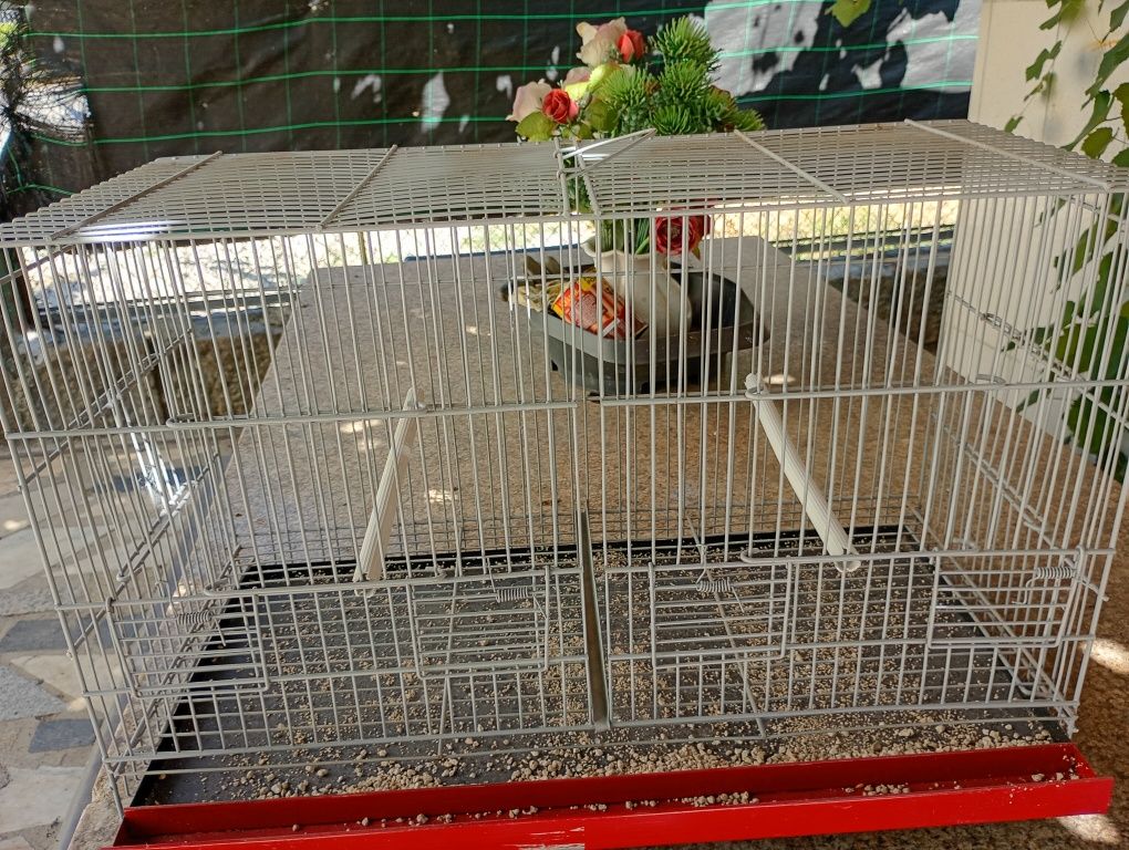 Gaiolas 57 Cm novas