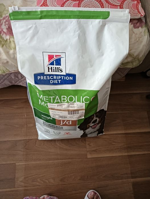 Ração Hills para cão  saco com 14 kg