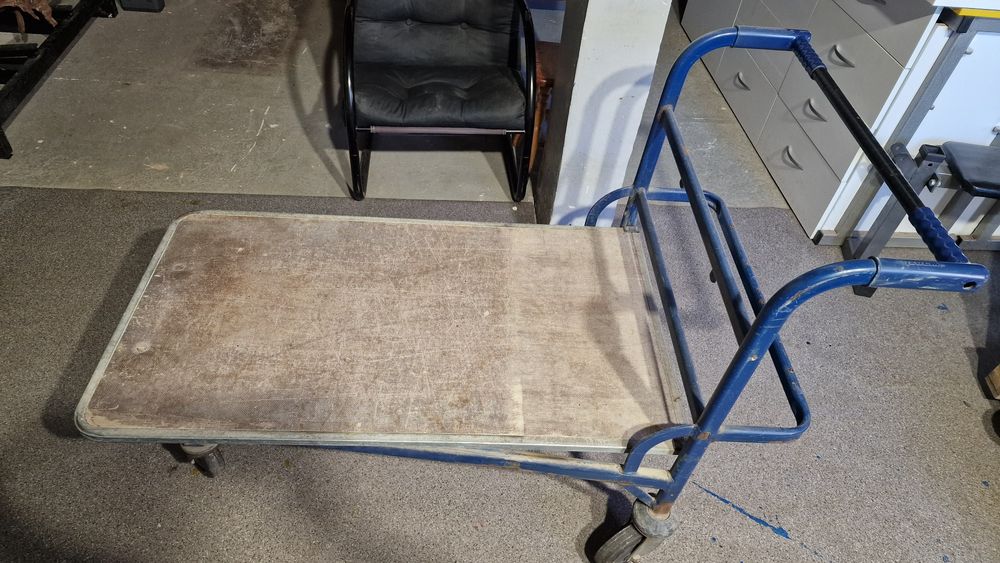 Duży Transportowy Wózek platformowy Wanzl 5cio kołowy