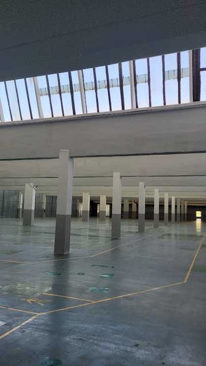 Magazyn 3 tys m2 od zaraz SENATORSKA 70 Łódź Górna