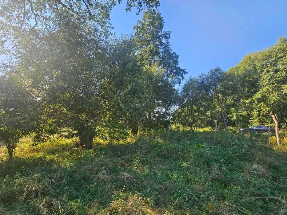 Bydgoszcz ok. Kobylarnia Działka 2220 m2 wśród zieleni- Stodoła GRATIS