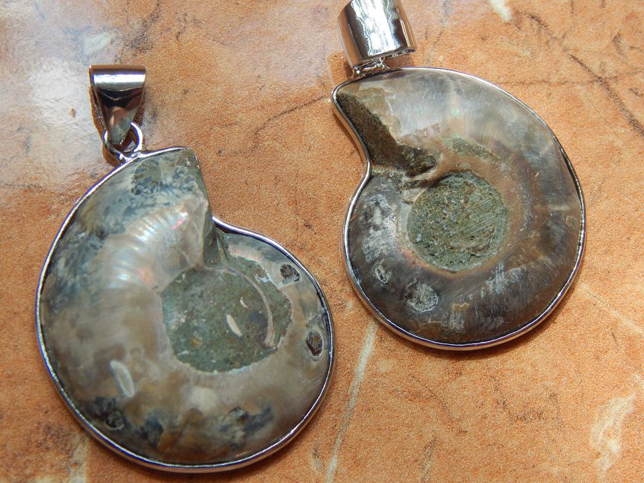 Амоніт кулон мушля, аммонит ракушка, окаменелость натуральный камень