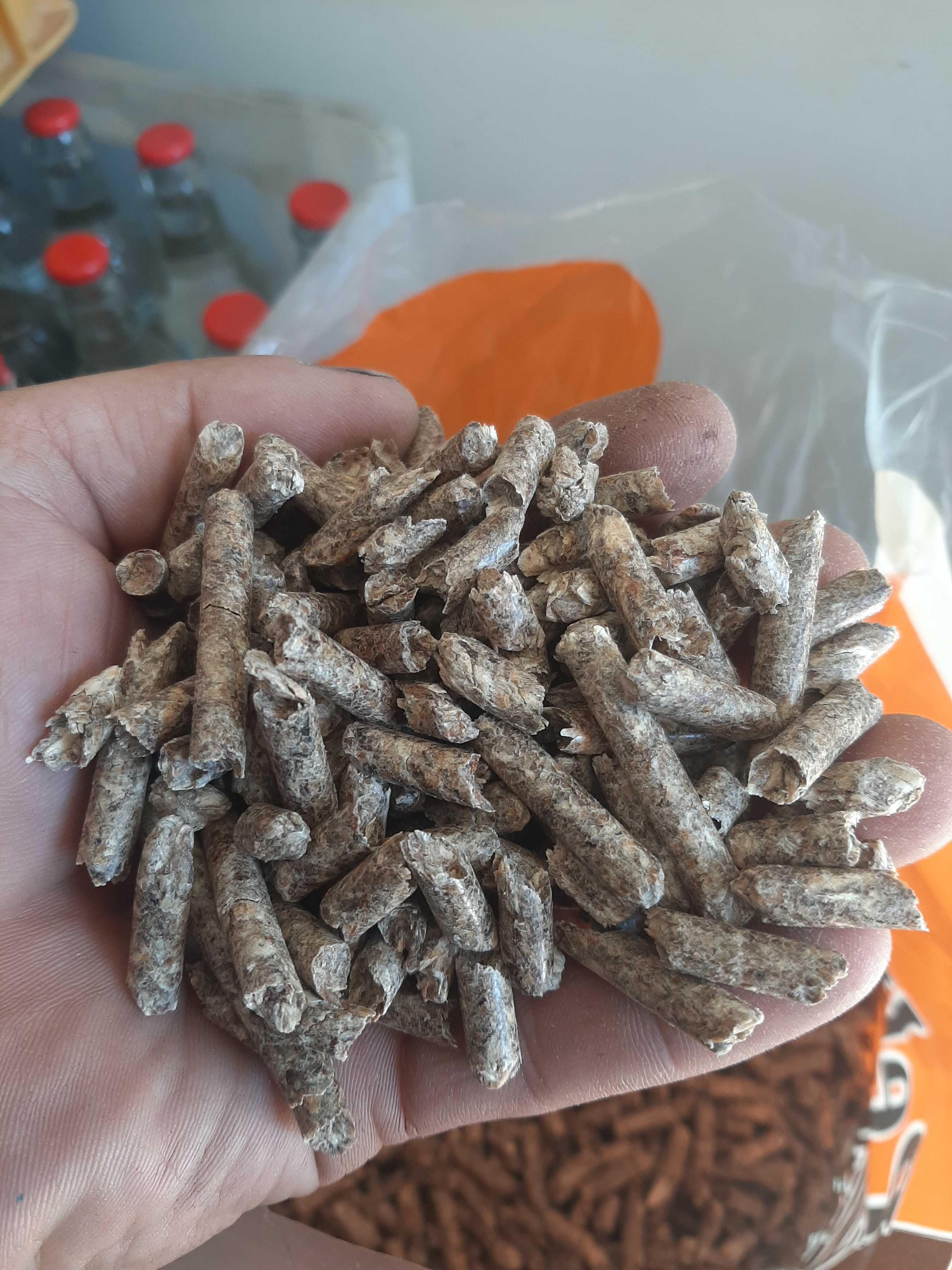 Pellet Wood Certyfikat A1 Gwarancja jakości