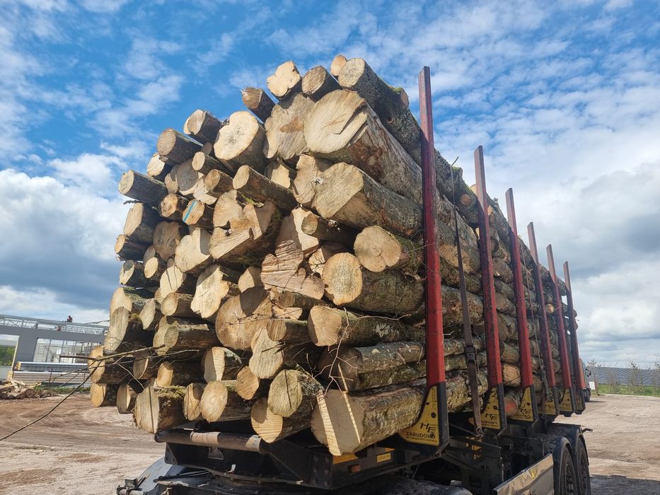 Drewno brzoza, olcha,  dąb, grab,sosna...