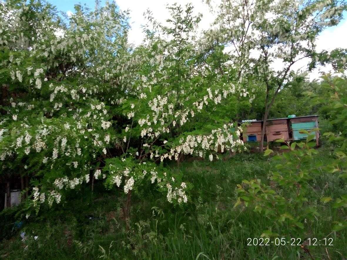 Продам пасеку с землёй домиком для качки мёда.Есть водопровод.