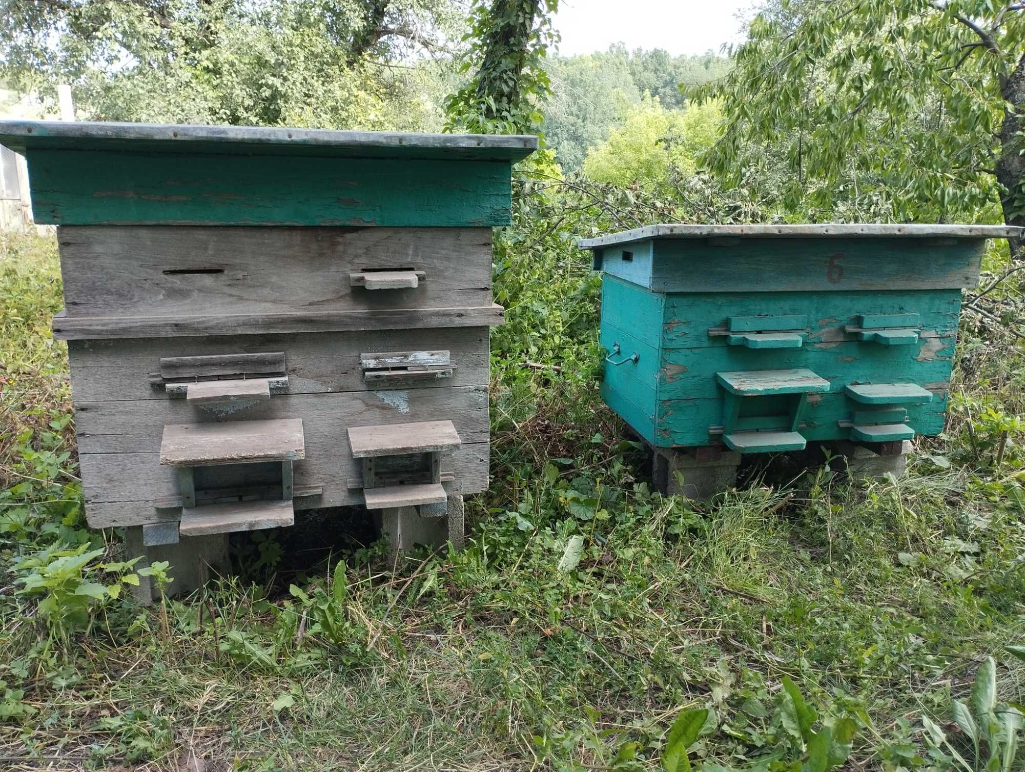 Улики лежак на 2 семьи ( 20 дадановских рамок)