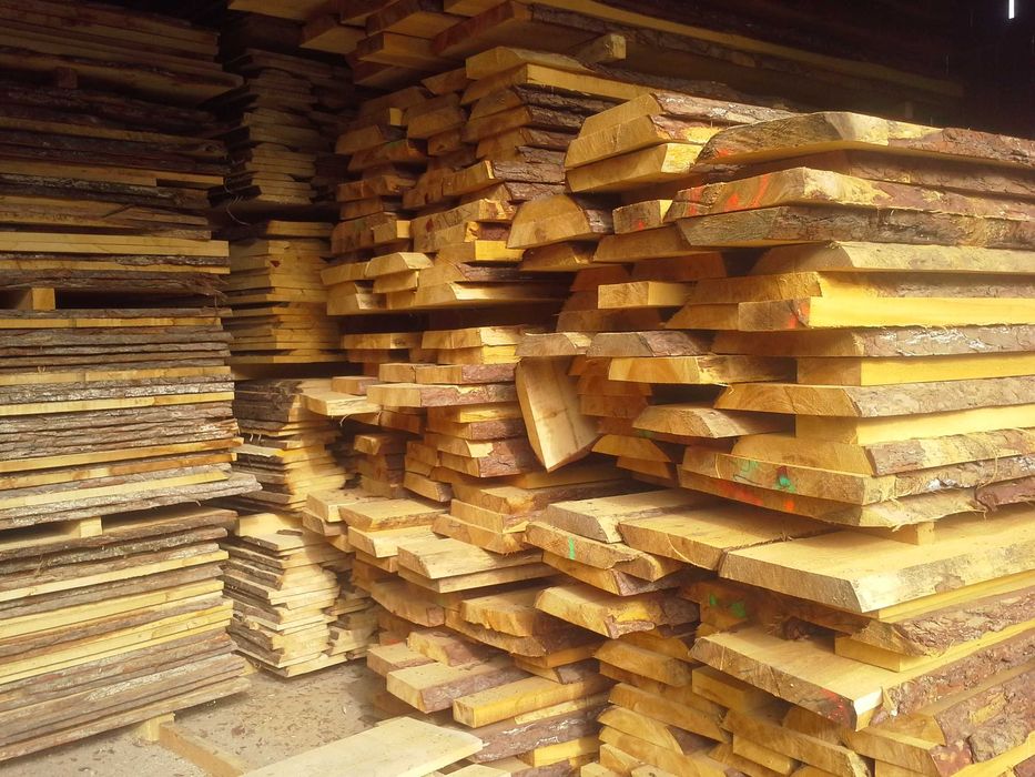 Tarcica Dębowa Dąb 50