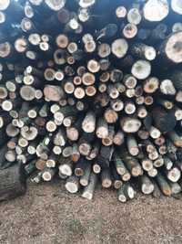Продам дрова  твердих порід 1300 договірна