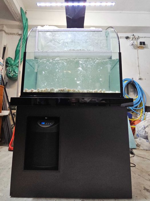 Aquário para Marisco