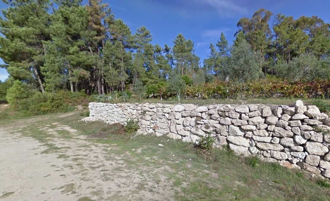 Quintinha agrícola