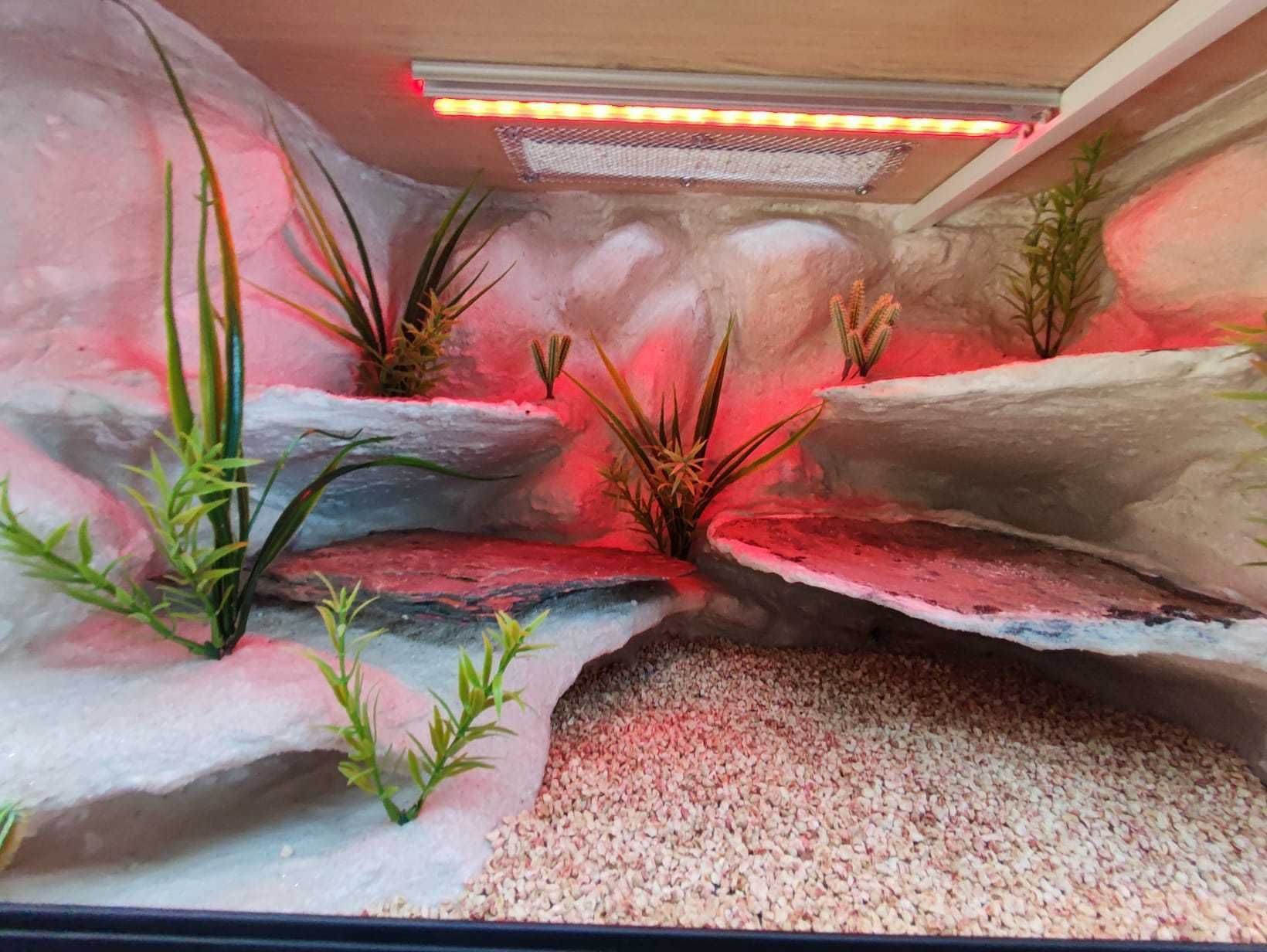 Terrarium pustynne nr638 60/40/40 dla gekona lamparciego NA ZAMÓWIENIE