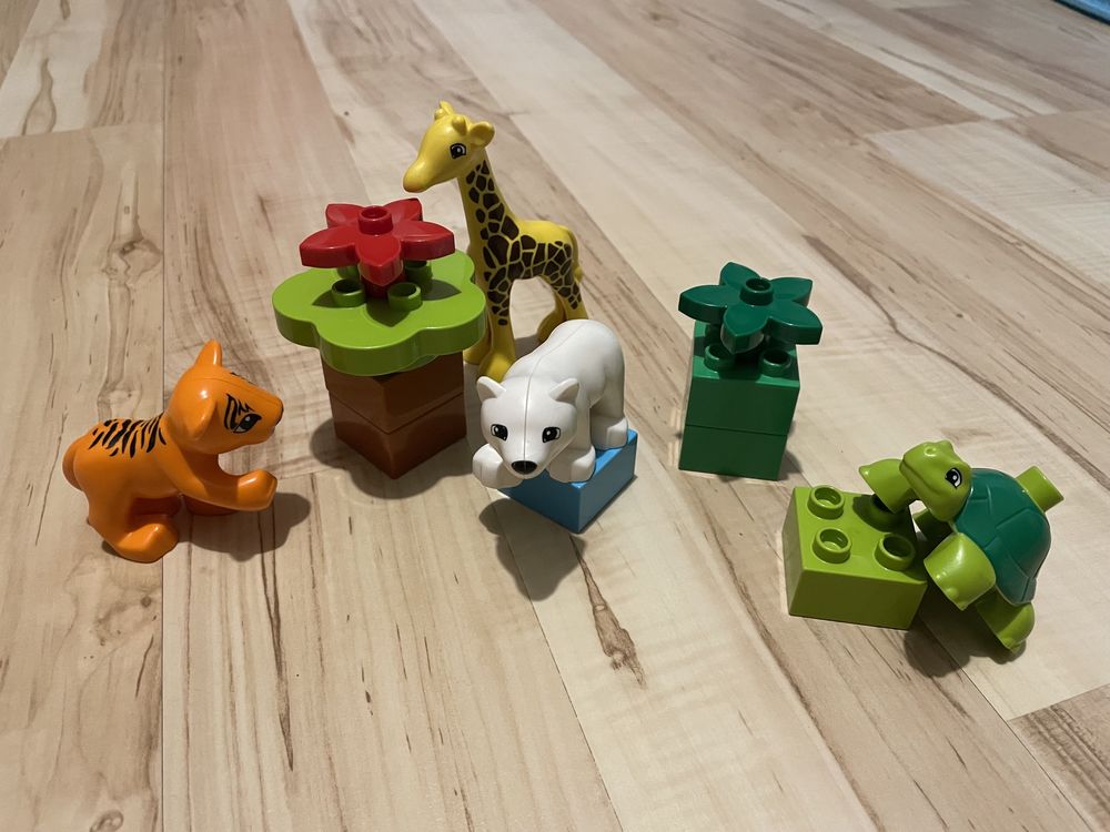 Lego Duplo 2 - 5 lat - małe zoo zestaw 10801