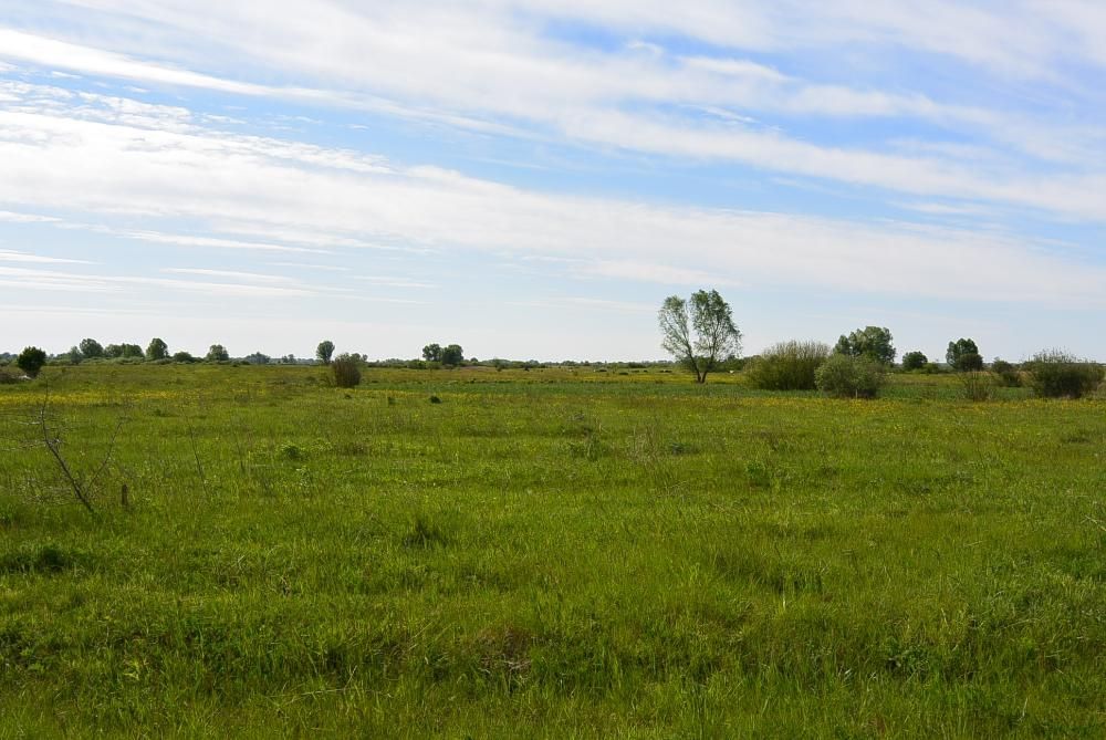 Участок, земельна ділянка 12 соток с.Гоголів