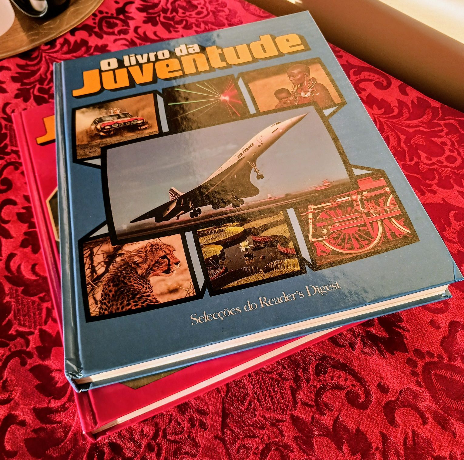 O livro da juventude, Vol. I e II