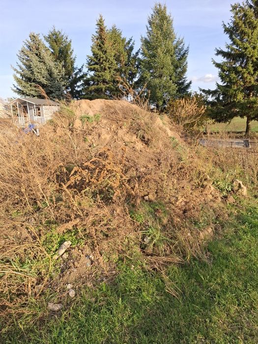 Oddam ziemię za darmo