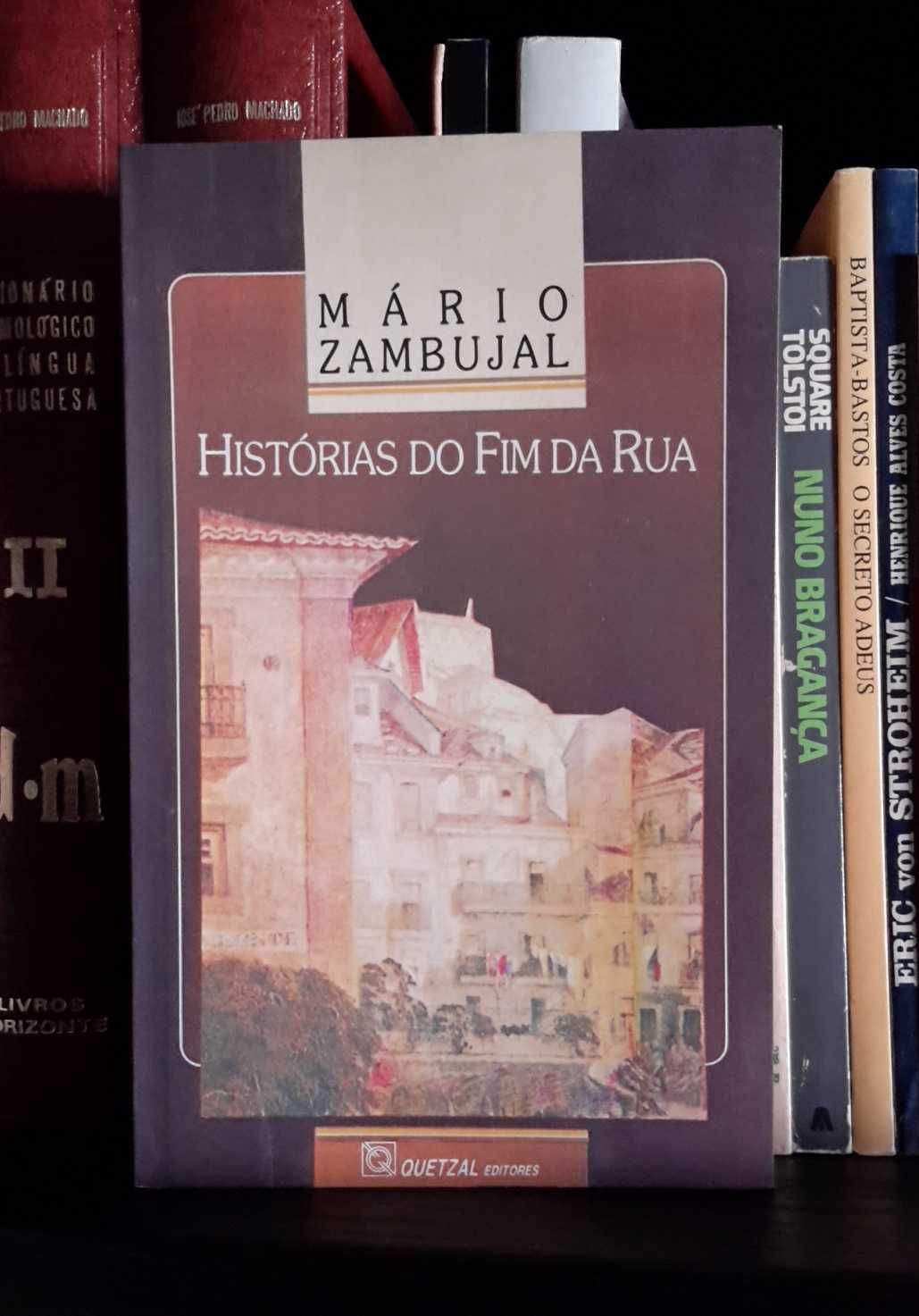 Mário Zambujal - Histórias do Fim da Rua