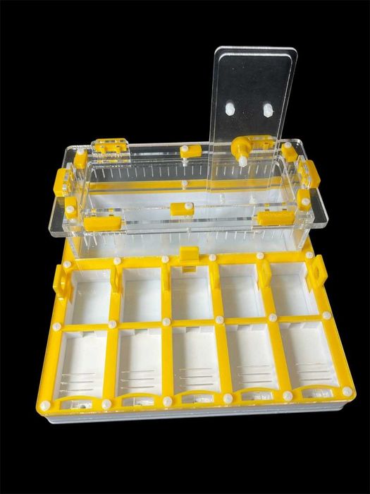 Черная муравьиная ферма для муравьев профессиональный дом для колонии.