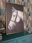 Quadro de cavalo decorativo