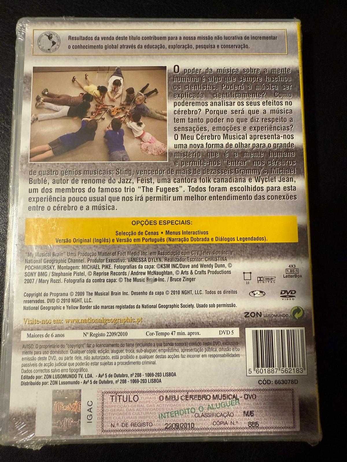DVD - O meu cérebro musical