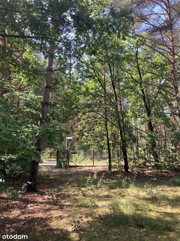 Działka budowlana z domem letniskowym – Brzeźce gm. Białobrzegi 911 m²