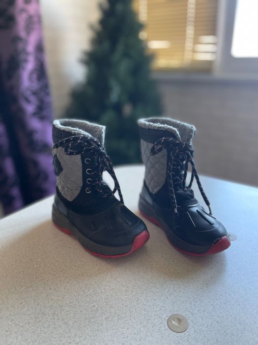 Дитячі ботинки демі carters