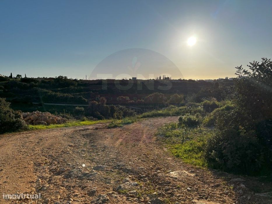 Terreno para Hotel de Turismo Rural com Projeto Aprovado - Ferragud...