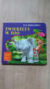 Zwierzęta w zoo - Jan Brzechwa - książka wydanie kartonowe
