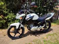 Yamaha YBR 125 kat. B, A1  2014r 24 tys km / Transport