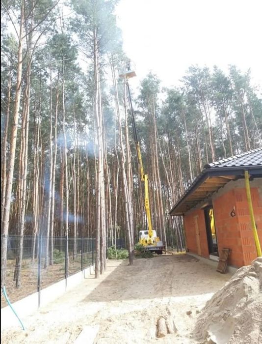 Wycinka drzew trudnych podnośnik koszowy