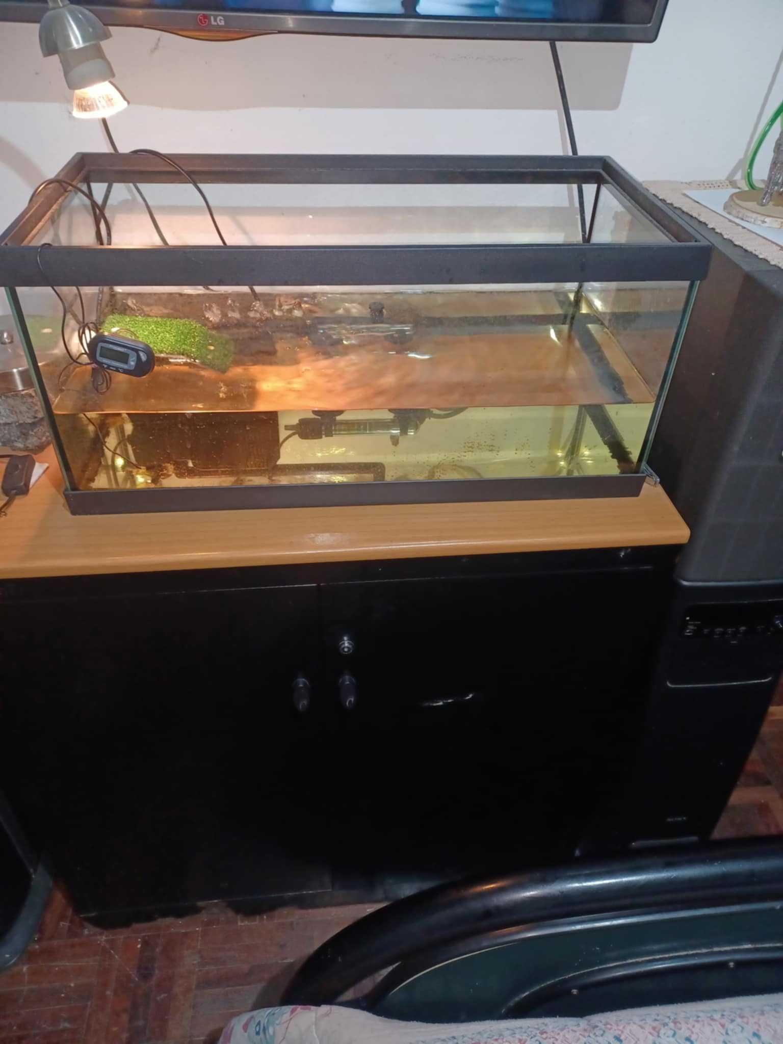 aquario para tartarugas aquaticas.. ler ate ao fim..