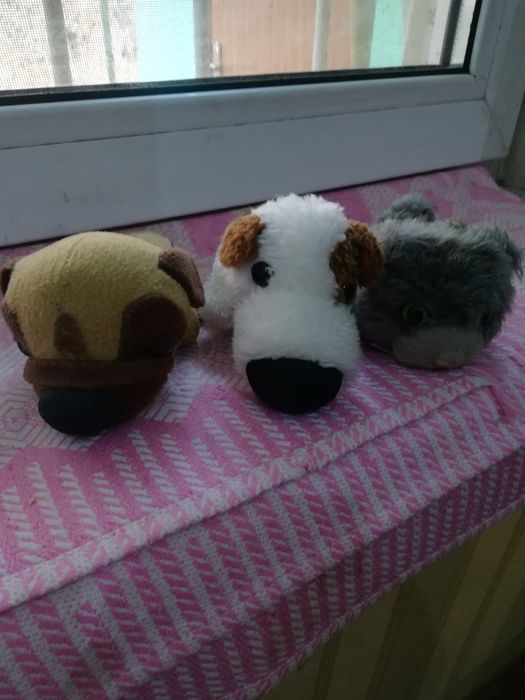 Продам dog collection