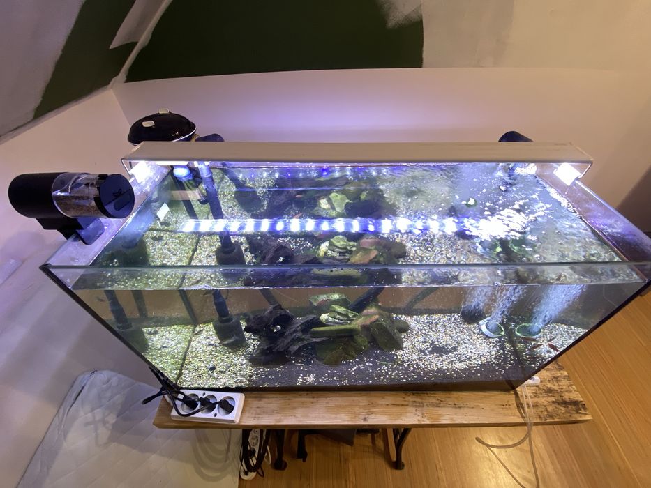 Akwarium 126l bez ryb