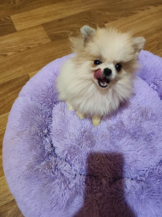 Супер мини девочка