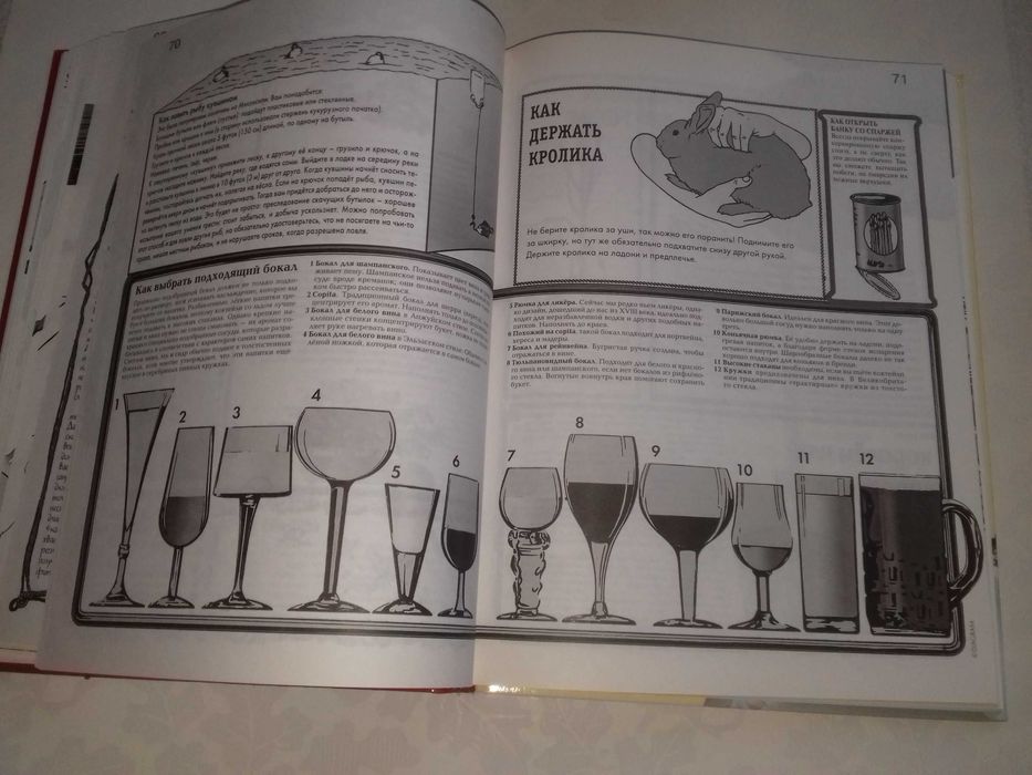 Дурацкие советы, без которых нельзя прожить. Энциклопедия.