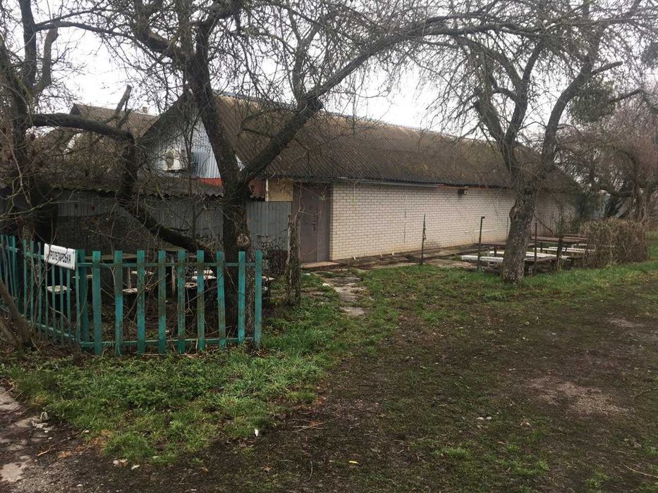 Продається будинок з територією та магазином