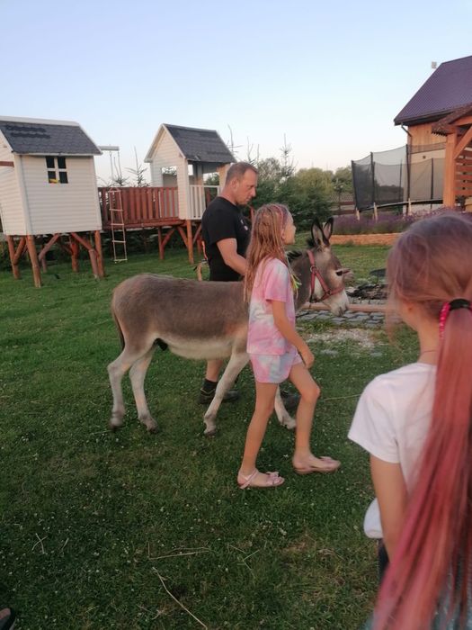 Agroturystyka KOTLINA Kłodzka , Góry Stołowe, wolne pokoje!