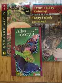Atlas grzybów+ atlas motyli + ślady zwierząt