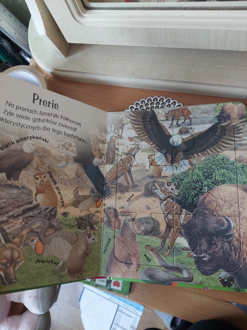 Puzzle zwierzęta swiata książka 6 układanek 6 elementów