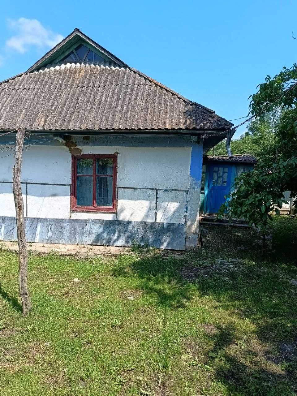 Будинок в селі Павлівка
