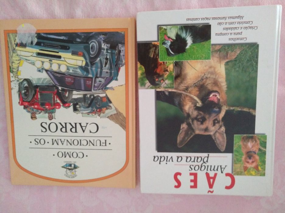 Livros juvenis (atuais nas escolas)