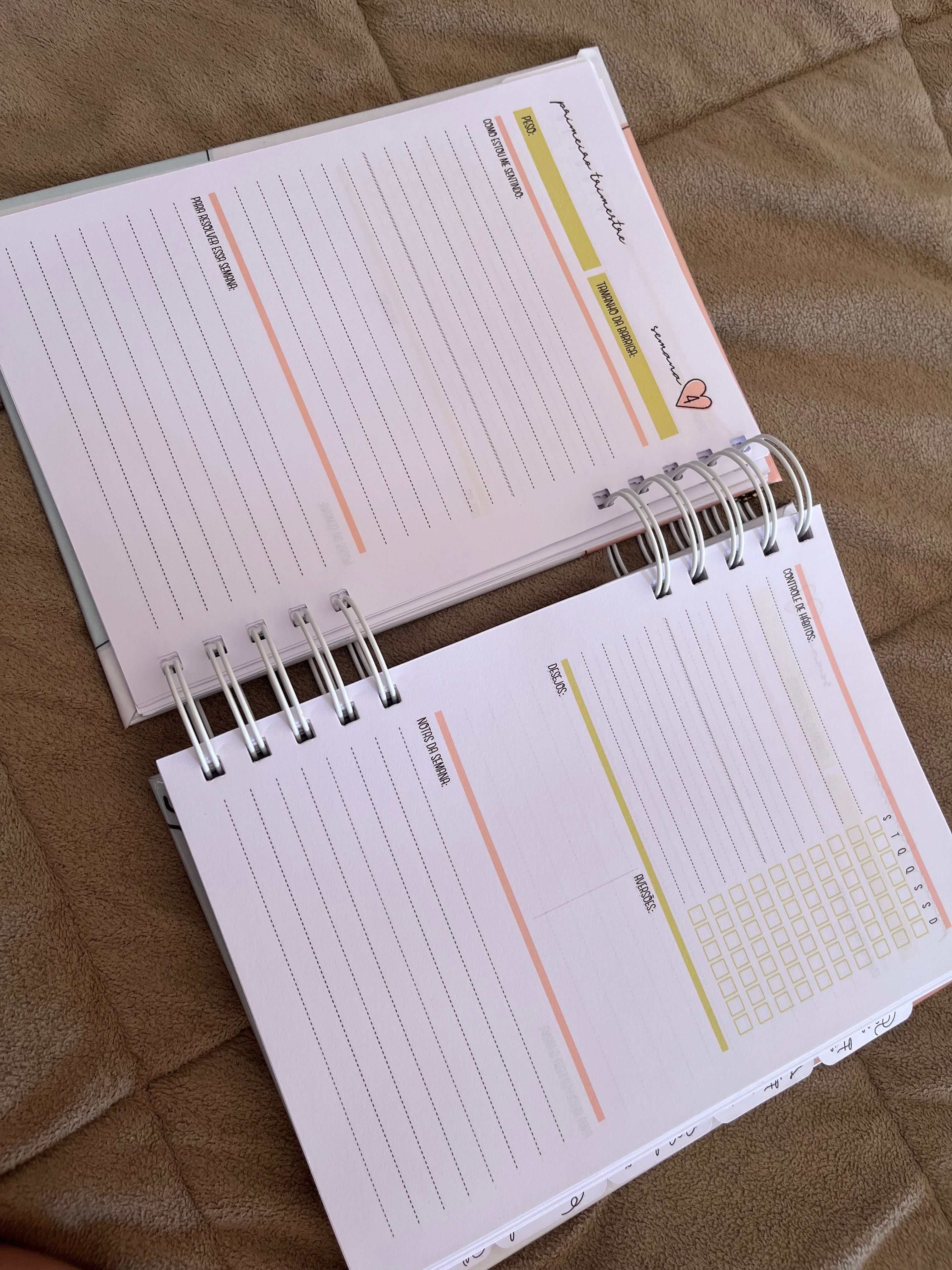 Agenda para gravida