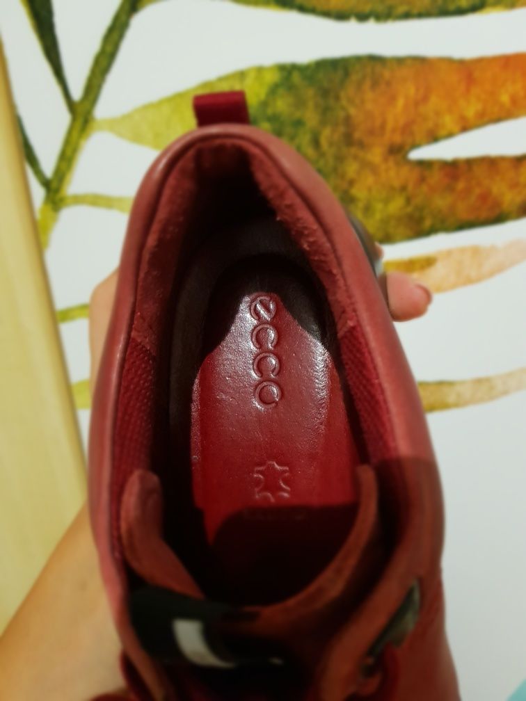 Ecco roz.35 Snickersy