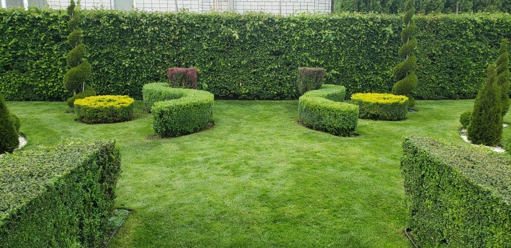 Топіарна стрижка рослин  автоматичний полив стрижка газону