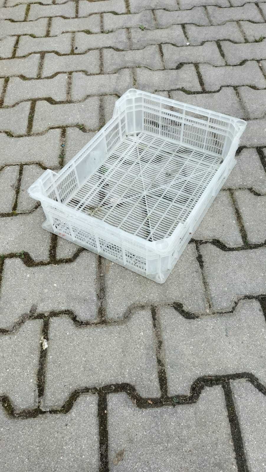 Skrzynki plastikowe